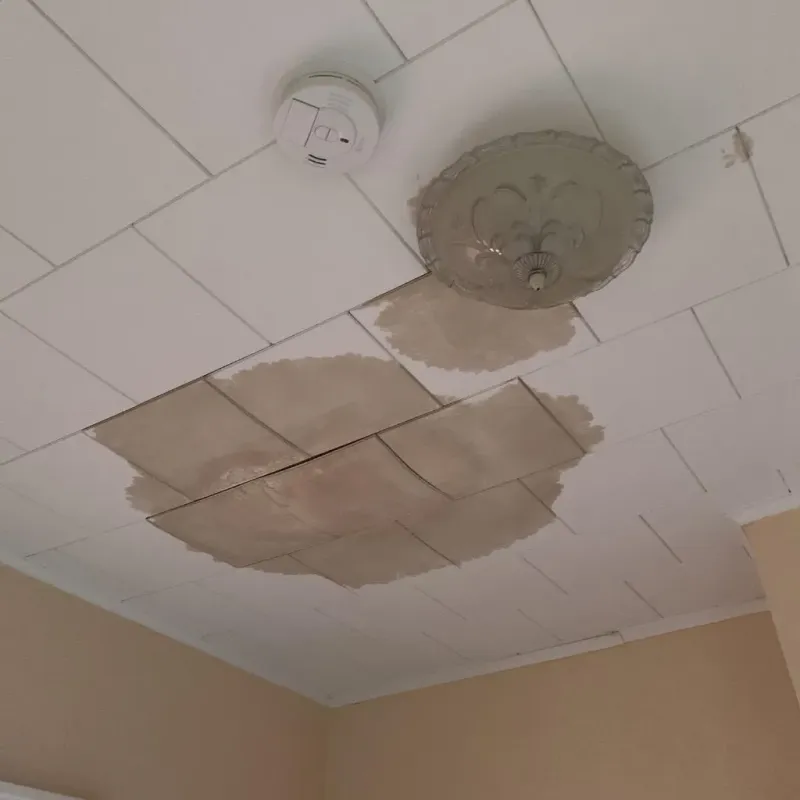 Ceiling Water Damage Repair in Rockport, ME