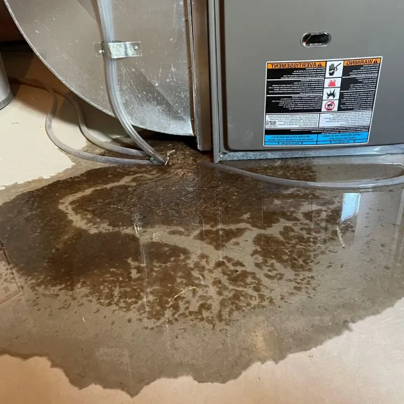 Pipe Burst and Leak Restoration in Rockport, ME